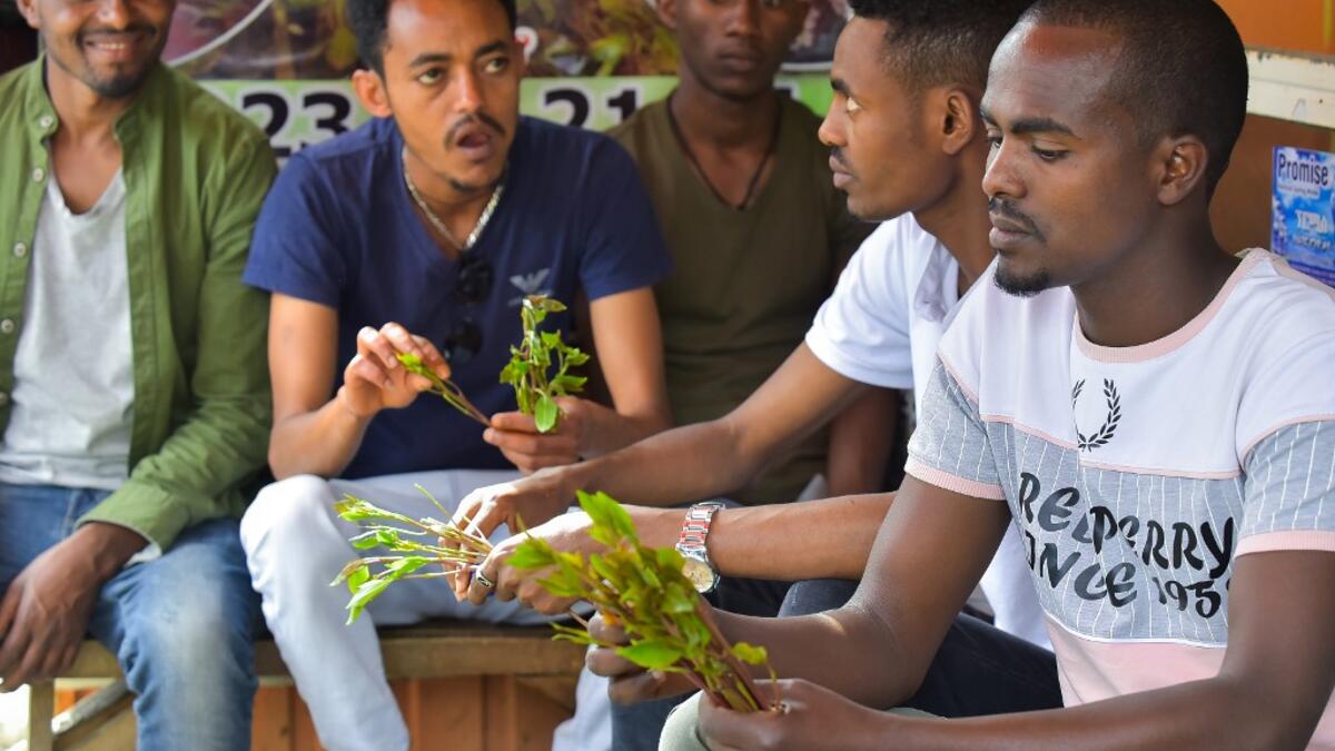 Ousman Abdulahi (R) and his friends chew khat at a road side dealer's shop in an area known as 'Little Mogadishu' in Addis Ababa on July 23, 2019. In Ethiopia, a rehab centre takes on khat addiction, AFP reports on August 28, 2019. MICHAEL TEWELDE / AFP