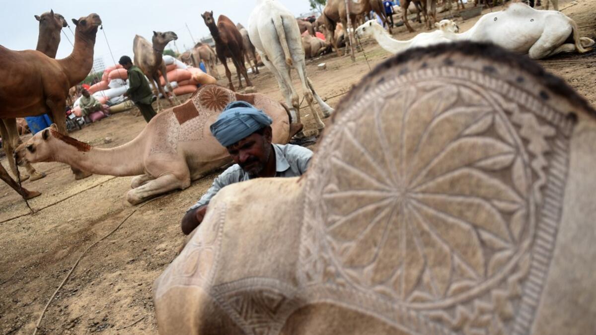 A Pakistani trader makes a design on a camel as he waits for customers in preparation for the Muslim annual festival of Eid al-Adha or the Festival of Sacrifice, at an animal market in Karachi. RIZWAN TABASSUM / AFP