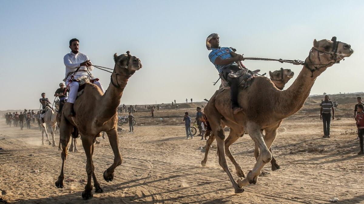 Palestinian jockeys compete during a local camel race held at the destroyed Gaza airport, in Rafah in the southern Gaza Strip on October 20, 2019. SAID KHATIB / AFP