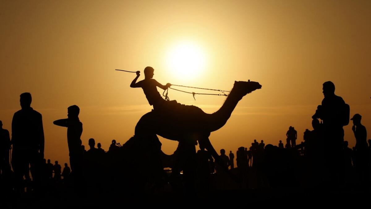 A Palestinian jockey is silhouetted as he competes in a local camel race held at the destroyed Gaza airport, in Rafah in the southern Gaza Strip on October 20, 2019. SAID KHATIB / AFP