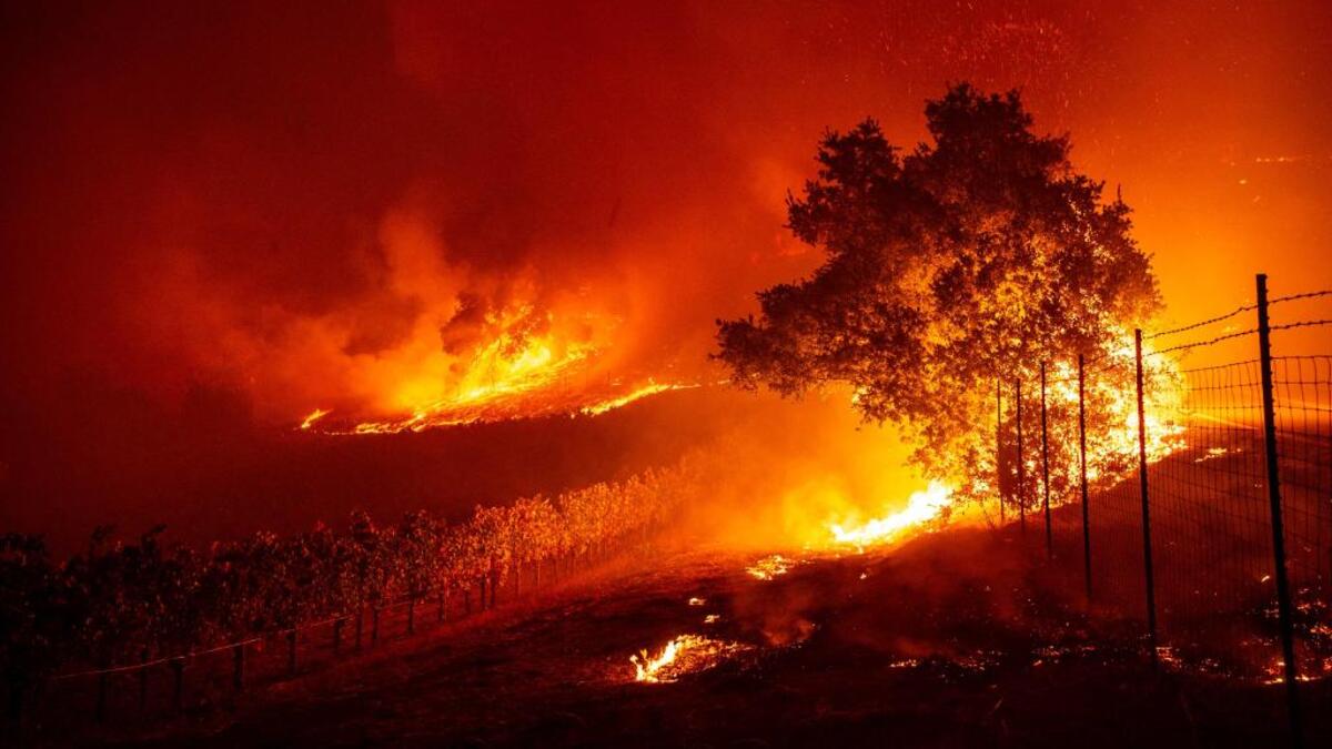 Flames enter a vineyard during the Kincade fire near Geyserville, California. (Photo by Josh Edelson / AFP)