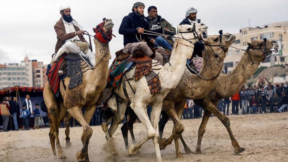 Palestinian jockeys compete during a local camel race held at the destroyed Gaza airport (Twitter)