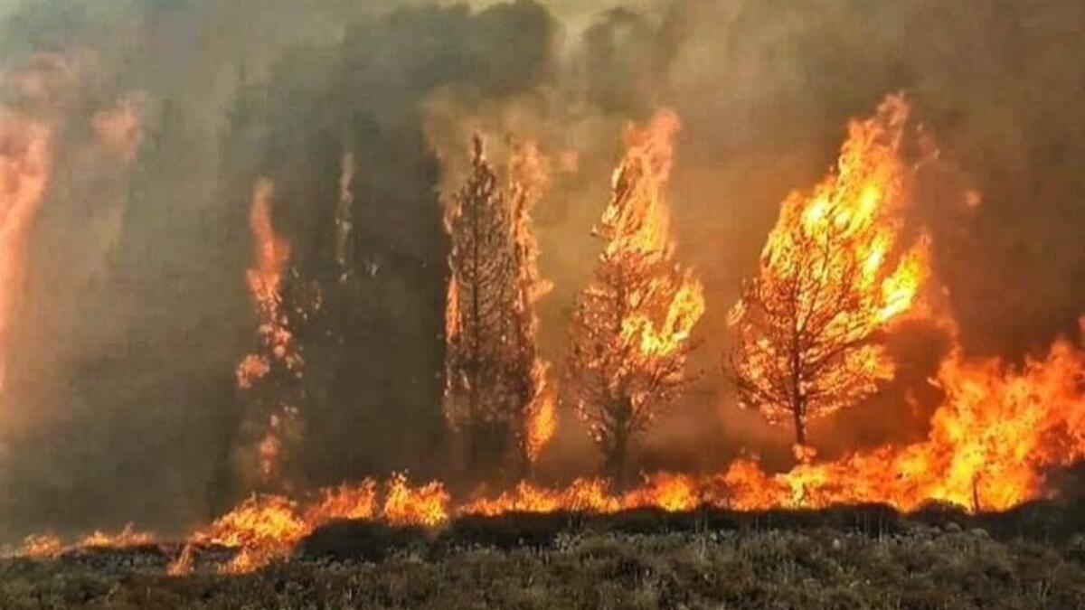 A massive fire in the Chouf village of Meshref spread to a nearby university and elementary school Monday. (Twitter)