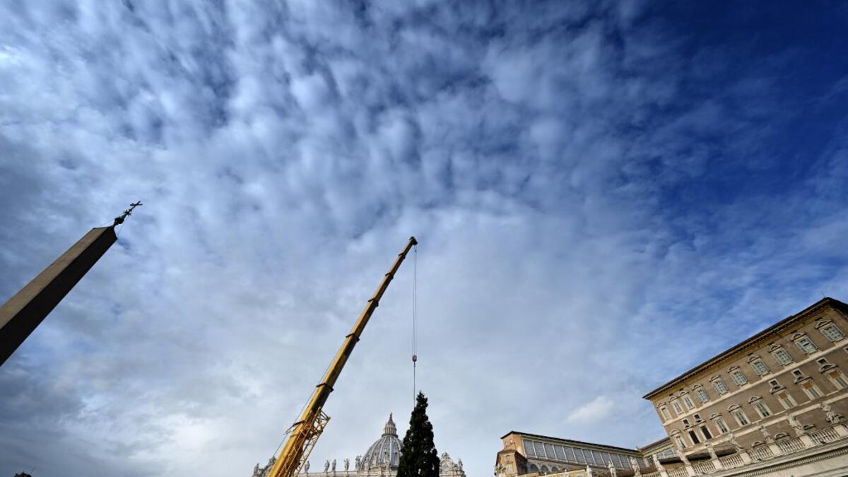 A crane lifts a Christmas Tree - a spruce from Trentino region - at St Peter's Square in The Vatican on November 21, 2019 Alberto PIZZOLI / AFP