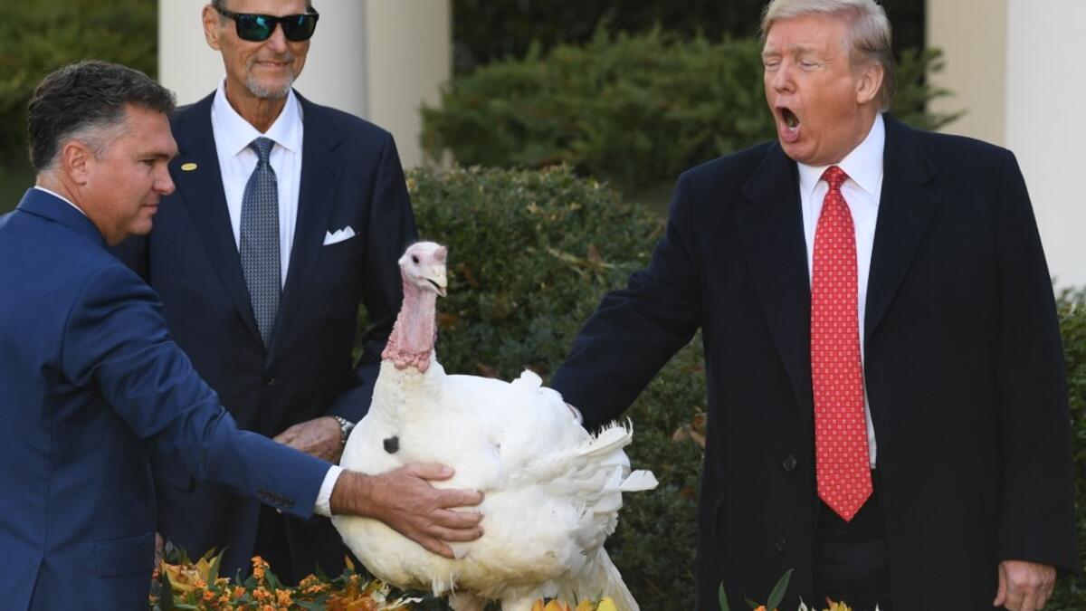 US President Donald Trump pardons the National Thanksgiving Turkey during a ceremony in the Rose Garden of the White House in Washington, DC on November 26, 2019. SAUL LOEB / AFP