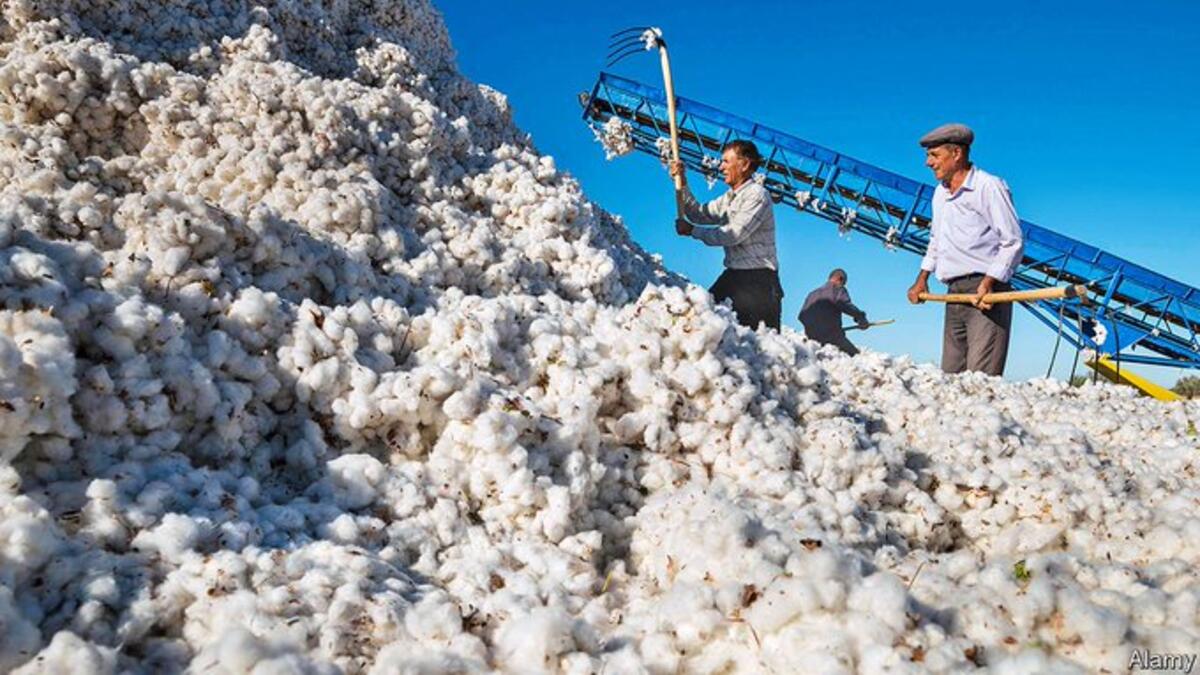 Old Industry, New Vision! Uzbekistan Cotton Undergoing Change Al Bawaba