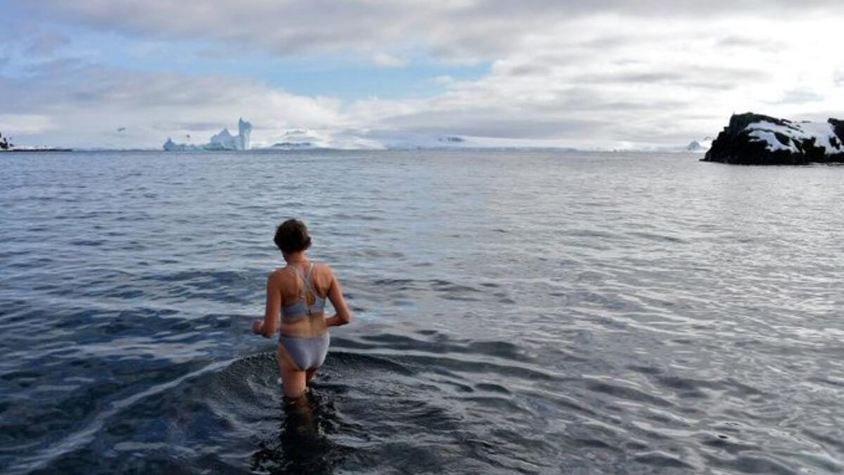 Swim among penguins (Twitter)