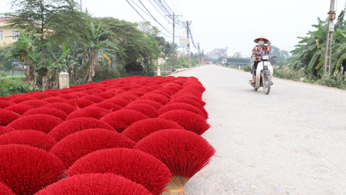 Vietnamese workers collect dried incense sticks in Quang Phu Cau village on the outskirts of Hanoi on January 9, 2020 ahead of the upcoming Lunar New Year celebrations, referred to in Vietnam as Tet (Shutterstock)