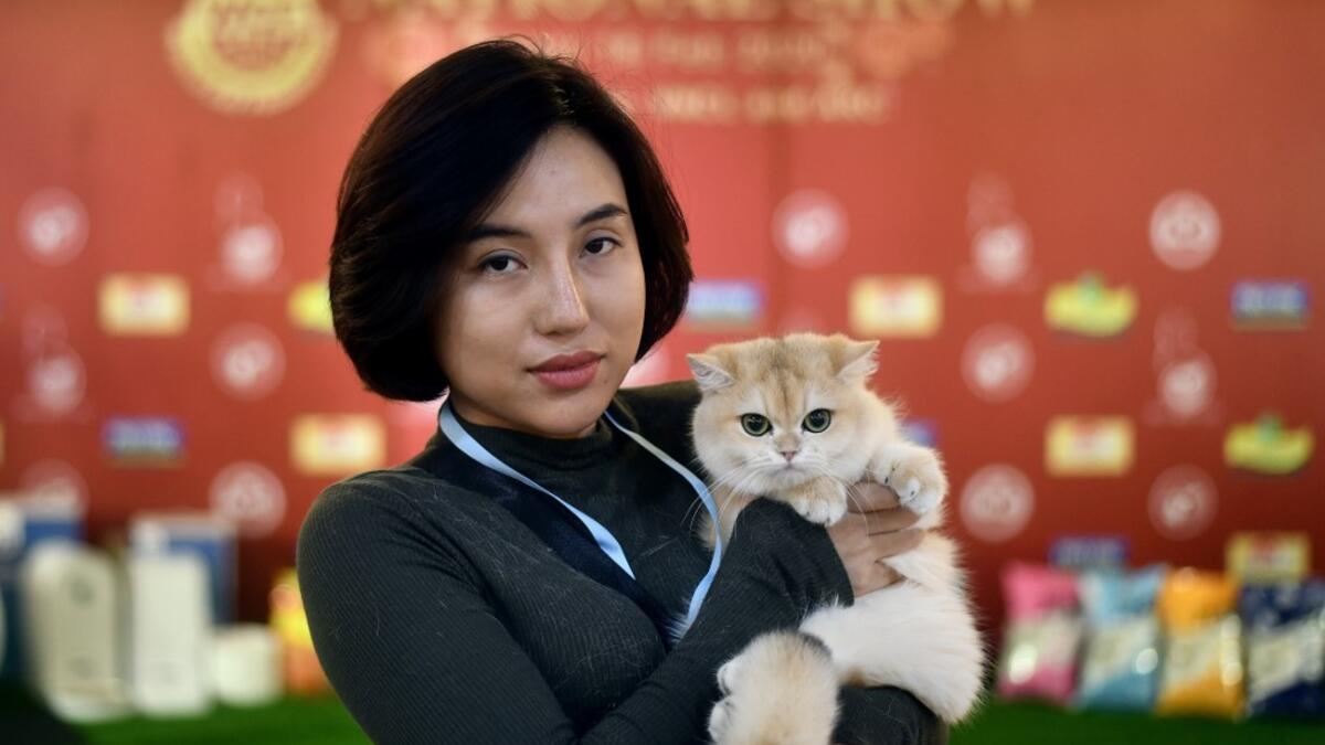 A participant poses with her cat Uslada, a British shorthair breed during Vietnam's first national cat show in Hanoi on February 16, 2020 amid concerns of the COVID-19 coronavirus outbreak. Manan VATSYAYANA / AFP