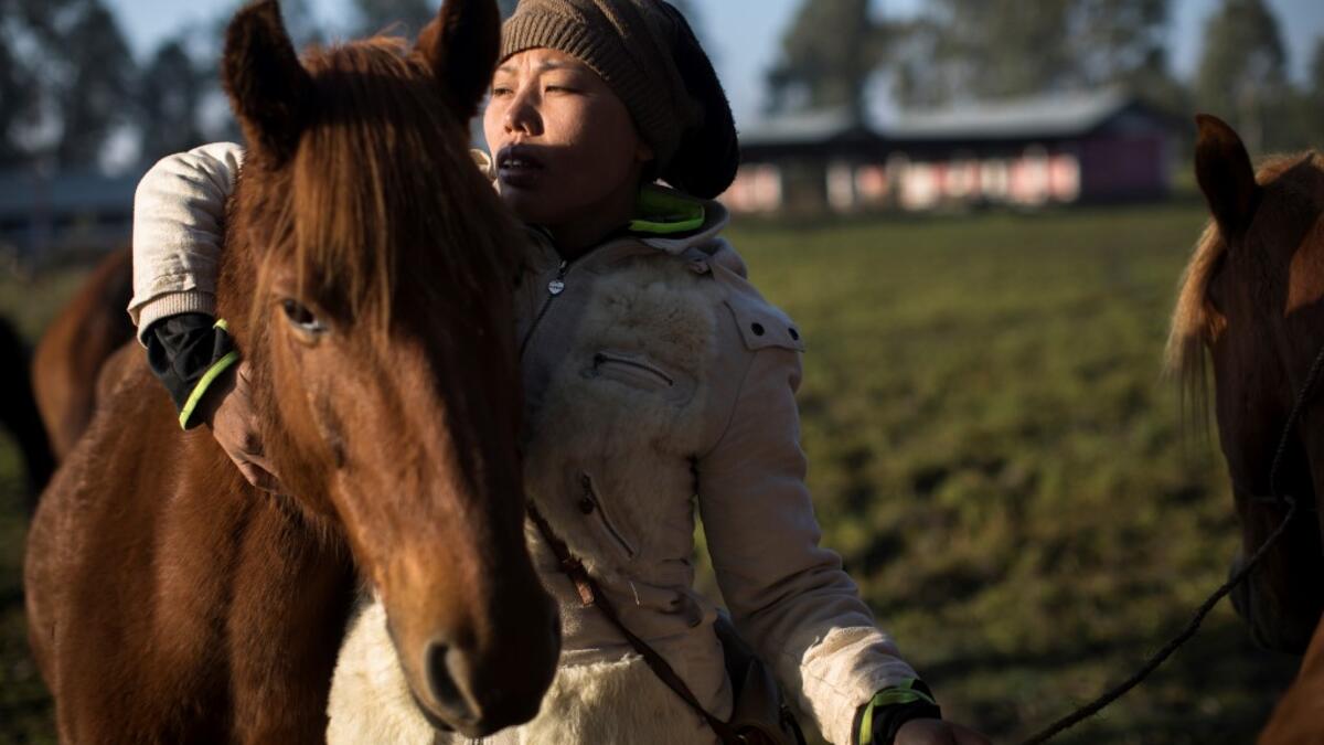 In this photograph taken on January 11, 2020, polo player Shanglenmayum Sangeeta ties a rope on a Manipuri pony on a field in Imphal, the capital of the northeastern Indian state of Manipur. Laishram Thadoi's face is a picture of concentration as she adjusts her helmet and prepares to play in Manipur, the remote Indian state regarded as the birthplace of modern polo. Xavier GALIANA / AFP