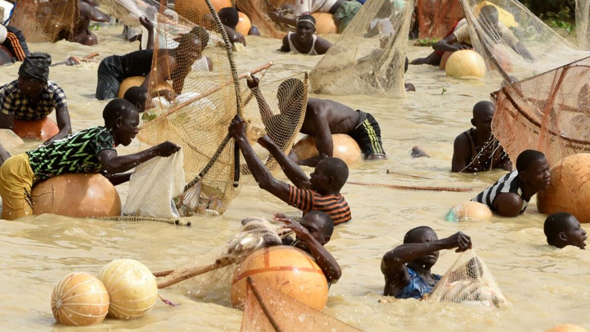 Fishermen try to catch fishes during the final of the revived Argungu fishing and cultural festival at Argungu Town, Kebbi State in northwest Nigeria, on March 14, 2020. Argungu fishing and cultural festival is one of the oldest and most widely attended festivals in the country dating back many generations, featuring series of water competitions and traditional games. The festival returned after 10 years suspension due to insecurity in northwest Nigeria. PIUS UTOMI EKPEI / AFP