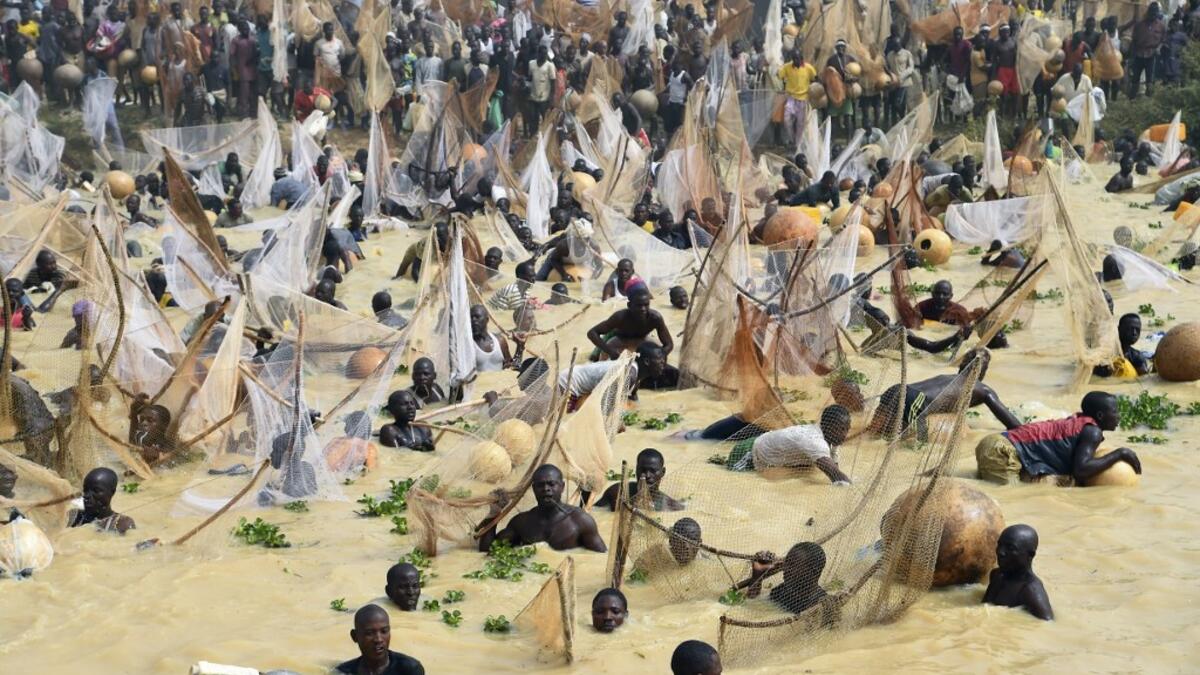 Fishermen try to catch fishes during the final of the revived Argungu fishing and cultural festival at Argungu Town, Kebbi State in northwest Nigeria, on March 14, 2020. Argungu fishing and cultural festival is one of the oldest and most widely attended festivals in the country dating back many generations, featuring series of water competitions and traditional games. The festival returned after 10 years suspension due to insecurity in northwest Nigeria. PIUS UTOMI EKPEI / AFP