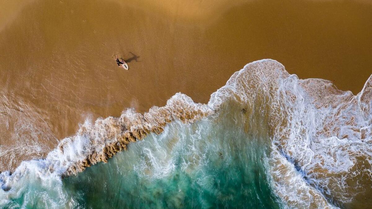 صورة بعنوان (التزلج على الوتد) للمصور"ساغي رويتبارب" والتي تم التقاطها في مقاطعة أورانج بولاية كاليفورنيا الأمريكية