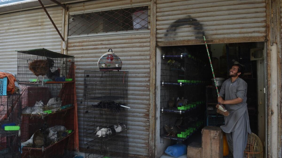 Abandoned when Pakistan's largest cities went into lockdown, hundreds of caged cats, dogs and rabbits have been found dead inside pet markets hurriedly shuttered as the coronavirus spread. Animals still alive in the corner of Karachi's sprawling Empress Market where pets are sold were rescued only after activists appealed to the authorities for access. Asif HASSAN / AFP