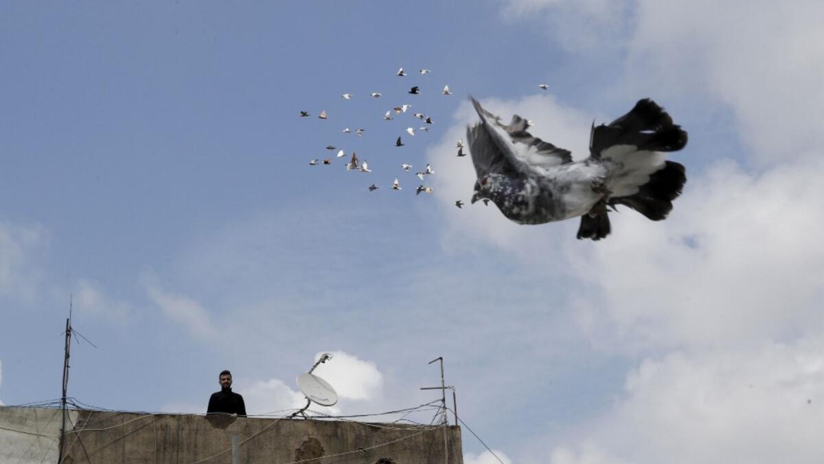 A pigeon owner, wearing personal protective equipment, watches his pigeons fly on the rooftop of his building in the southern suburb of Beirut on April 11, 2020. ANWAR AMRO / AFP