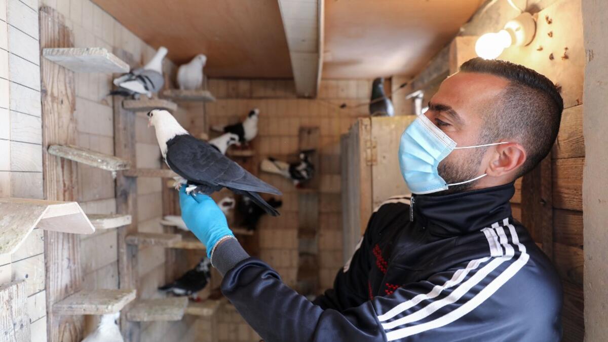 A pigeon owner, wearing personal protective equipment, poses with a pigeon on the rooftop of his building in the southern suburb of Beirut on April 11, 2020. ANWAR AMRO / AFP