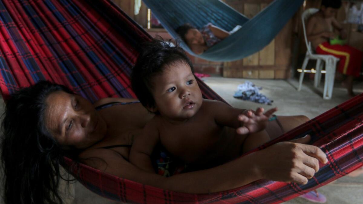 The local and state governments were called to assist to no avail. With the Amazonas state health system saturated, indigenous people turn to their ancestral knowledge about the region's nature to stay healthy and treat possible symptoms of the novel coronavirus. Ricardo OLIVEIRA / AFP