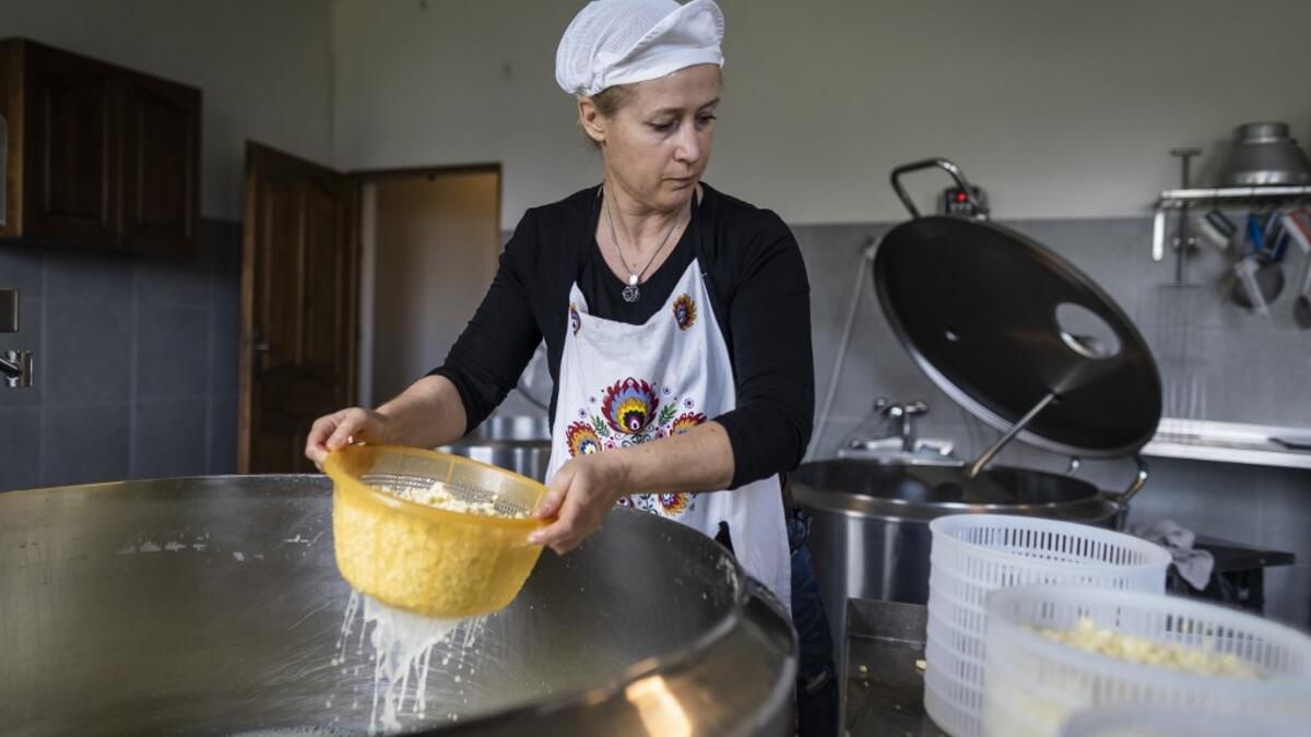Sylwia Szlandrowicz prepares cheese on "Frontiera Ranch" in the Masuria - polish lake region, May 15, 2020. The sheep and cows are in the meadow, the cheese is ripening in a room on the ground floor -- just the kind of scene attracting increasing numbers of Polish cityslickers away from the urban jungle. Wojtek RADWANSKI / AFP