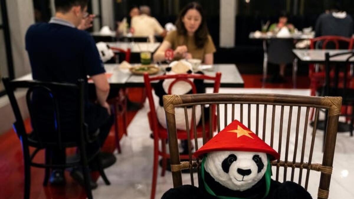خصص مطعم تايلاندي لزبائنه دمية على شكل باندا لمنعهم من الشعور بالوحدة أثناء تناول الطعام تحت قيود التباعد الاجتماعي.