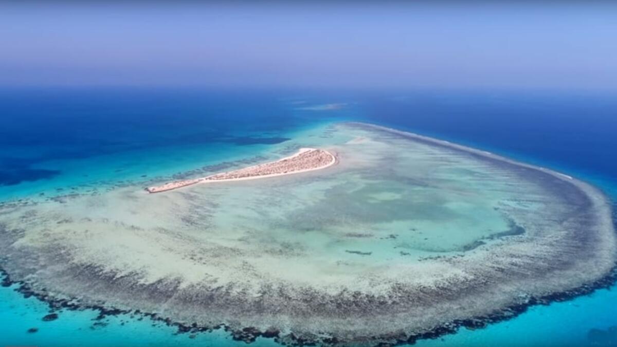 استكشف أملج: تتميز هذه المدينة بنخيلها المتمايلة على الرمال البيضاء التي تغطي شواطئها الهادئة، كما تميزها تنوع الأحياء البحرية في أعماق المياه الصافية حيث السلاحف الخضراء، والسلاحف الصقرية، والأطوم، ومئات الأنواع من الأسماك.