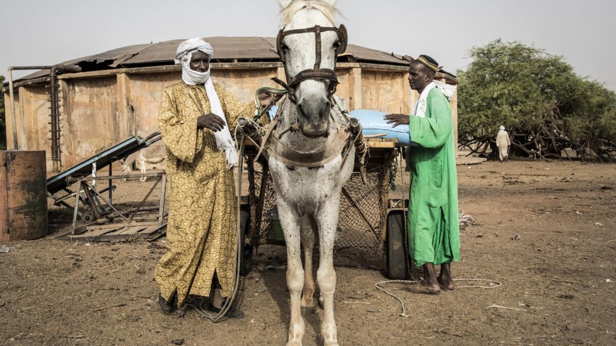 Fulani herders pack their cart with fodder before making their way back to their camps at a unofficial herders market in Barkedji on May 28, 2020. COVID-19 coronavirus restrictions have closed down markets and regional movement, as a result Fulani herders are struggling to move to areas with more grazing land for there live stock. Closures of markets have meant that the prices for live stock has dropped by up to fifty percent, leaving the pastoralist stuck with out being able to pay for the provisions to mo
