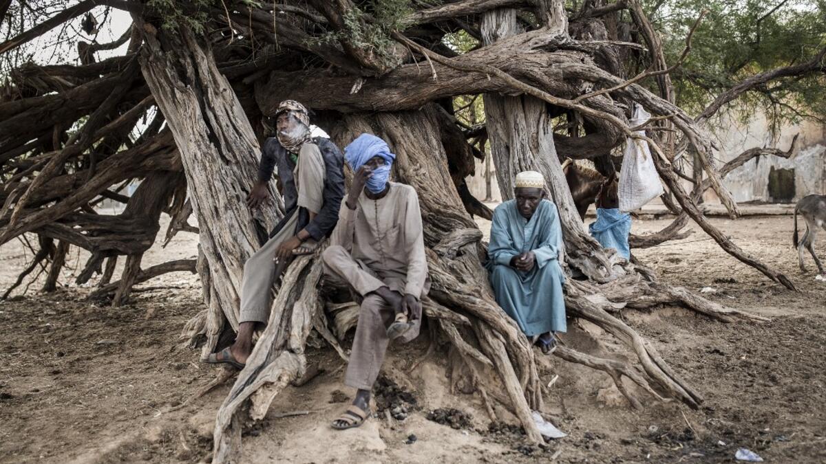 A Fulani herder sits in the shade of a tree at a un-official herders market in Barkedji on May 29, 2020. COVID-19 coronavirus restrictions have closed down markets and regional movement, as a result Fulani herders are struggling to move to areas with more grazing land for there live stock. Closures of markets have meant that the prices for live stock has dropped by up to fifty percent, leaving the pastoralist stuck with out being able to pay for the provisions to move on. JOHN WESSELS / AFP