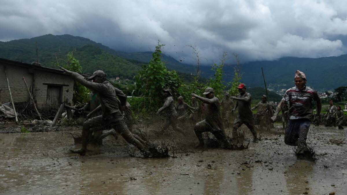 Splashing mud and drinking local rice beer, Nepali farmers this week celebrated National Paddy Day to mark the beginning of the rice-planting season, despite some coronavirus lockdown measures still in place. Traditional farming songs and laughter echoed in the air as farmers waded into waterlogged fields to sow green paddy.  PRAKASH MATHEMA / AFP