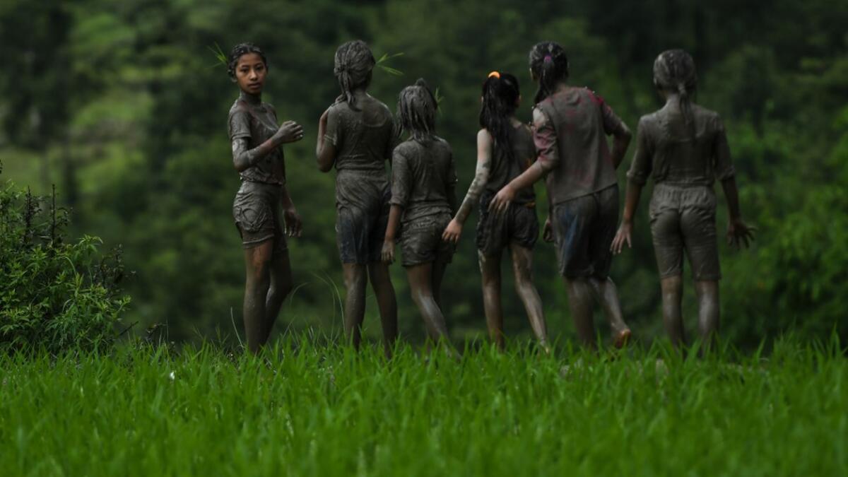 Splashing mud and drinking local rice beer, Nepali farmers this week celebrated National Paddy Day to mark the beginning of the rice-planting season, despite some coronavirus lockdown measures still in place. Traditional farming songs and laughter echoed in the air as farmers waded into waterlogged fields to sow green paddy.  PRAKASH MATHEMA / AFP