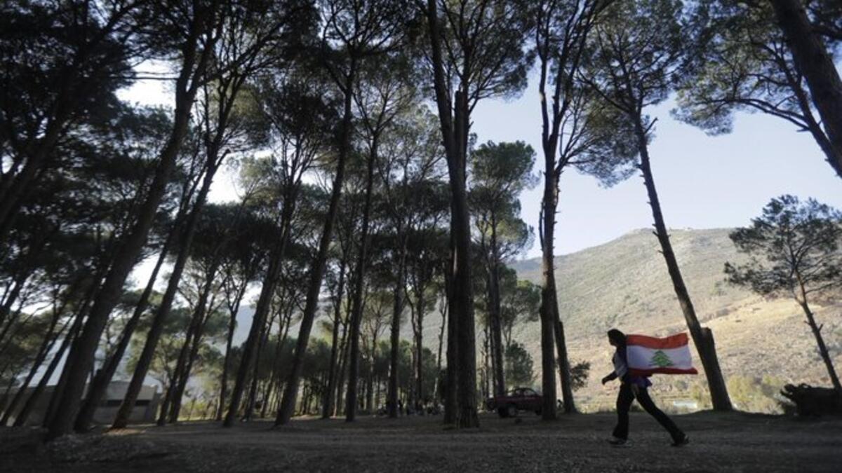 The Lebanese state, specifically the government of technocrats and its supporters, insists on cutting hundreds of thousands of trees in order to implement the Bisri dam project, or the ‘death dam’ as described by its opponents (Twitter)