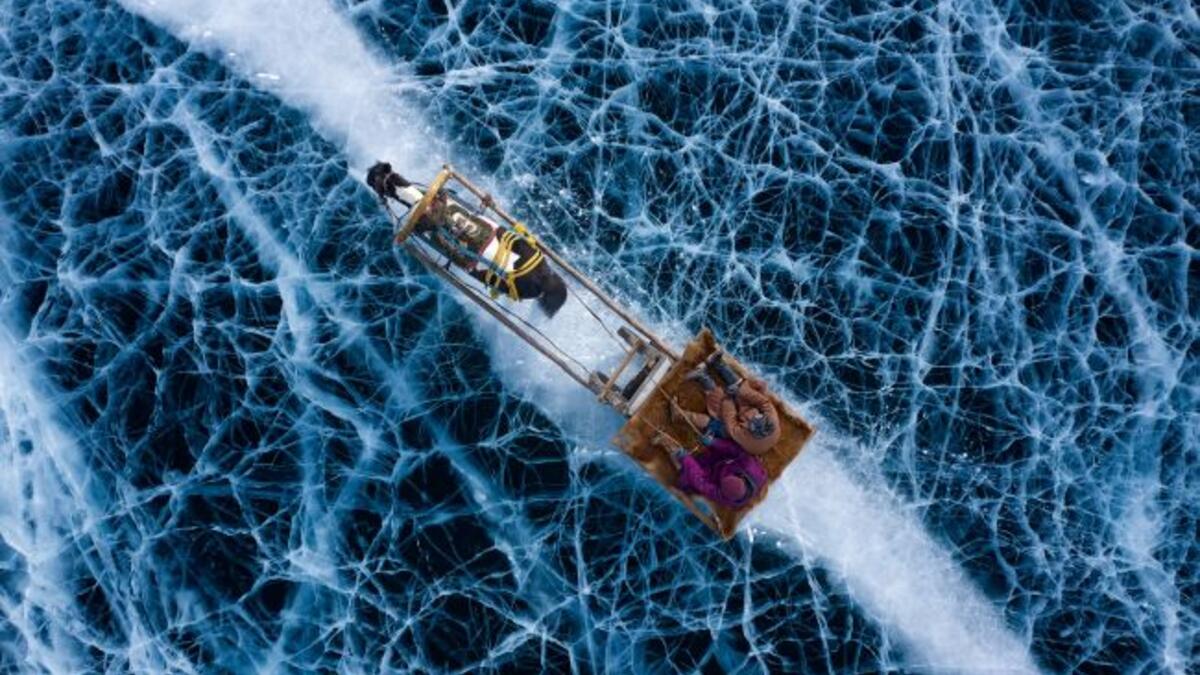 فئة الأشخاص:  "الأرض المجمدة" للمصوّر "أليساندرا مينيكونزي".