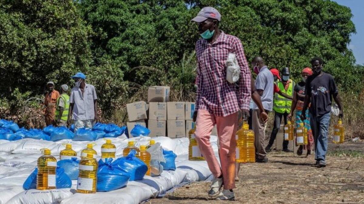 جائزة نوبل للسلام: فاز بها برنامج الأغذية العالمى التابع للأمم المتحدة لجهوده في مكافحة الجوع بالعالم ولتسليط الضوء على دوره في زمن تفشى فيروس "كورونا".
