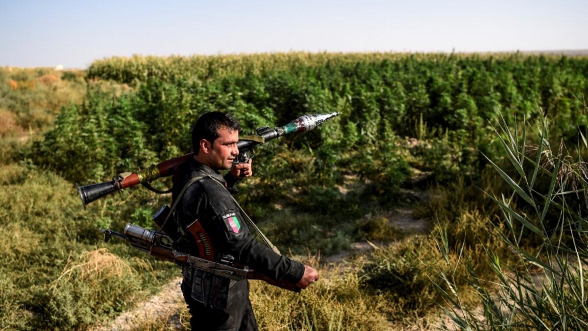 In this photo taken on September 27, 2020, a policeman holds a rocket-propelled grenade (RPG) as he walks near a hashish plantation at Deh Qubad village in Maiwand district of Kandahar province. The dry and dusty village of Aziz Abad in Maiwand district sits on the frontline of Afghanistan's war and is currently under government control -- but only just. WAKIL KOHSAR / AFP