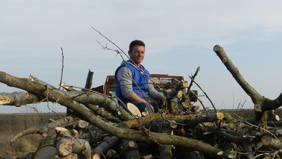A young man is sitting on a cart full of cuttings wood, Romania /Photo by Ewelina Lepionko
