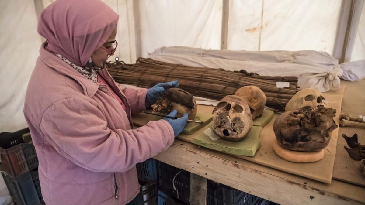 An archaeologist displays unearthed human skulls ahead of the official announcement of the discovery by an Egyptian archaeological mission of a new trove of treasures at Egypt's Saqqara necropolis south of Cairo, on January 17, 2021. The discovery at the necropolis which lies 30kms south of the Egyptian capital, includes the funerary temple of Queen Naert, wife of King Teti, as well as burial shafts, coffins, and mummies dating back to nearly 3000 years ago during the New Kingdom. Khaled DESOUKI / AFP