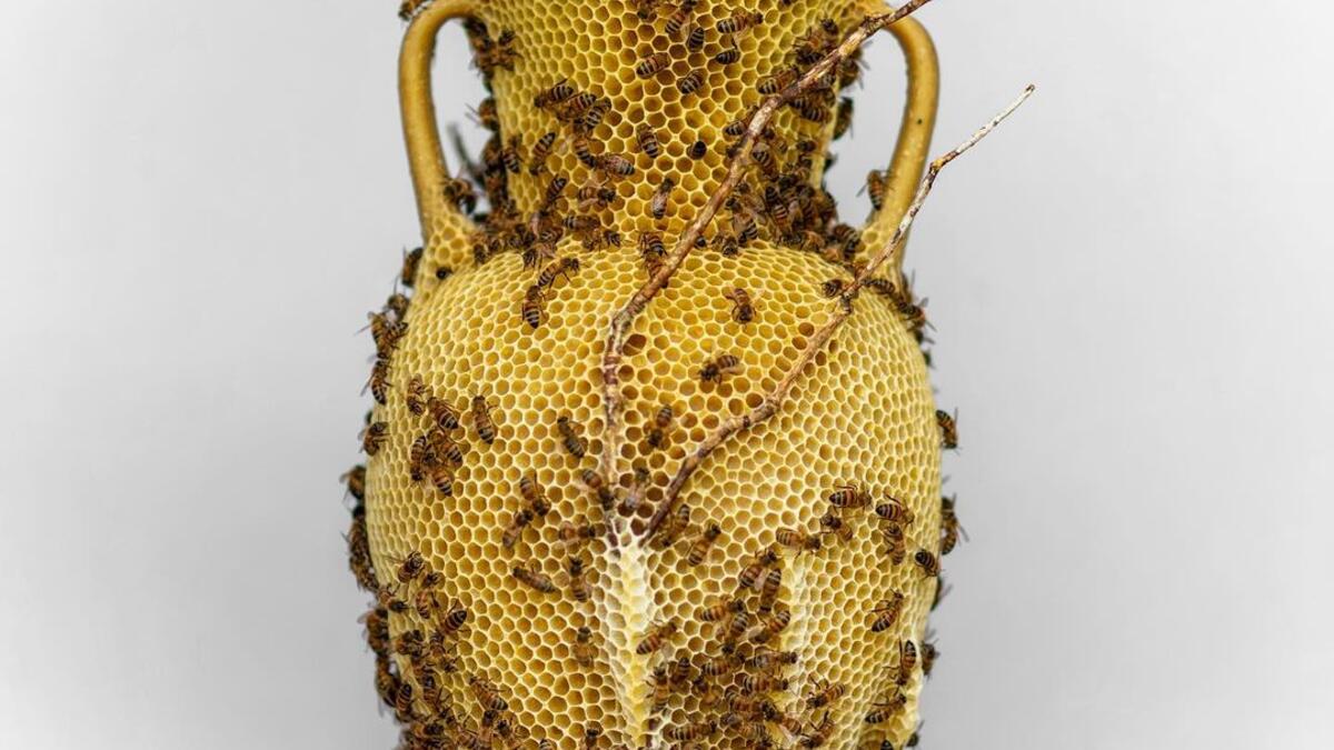 The Honeycomb Amphora No.1 (2020) from the “made by bees” series (Instagram)