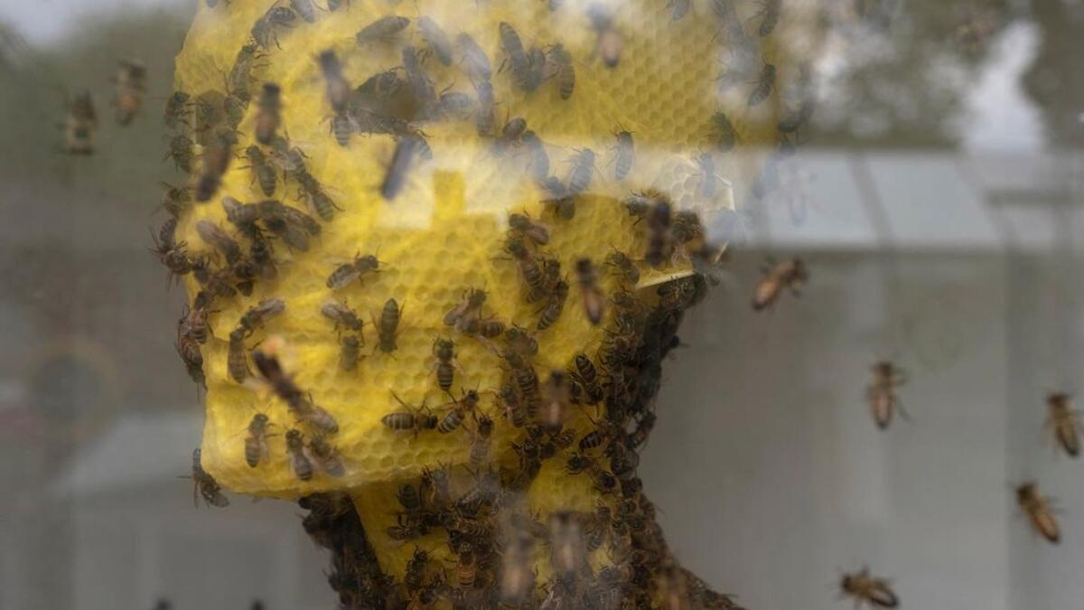 ETERNITY / 2019-20 “made by bees” series Materials: natural beeswax, wood, glass, Cor-ten steel (Instagram)