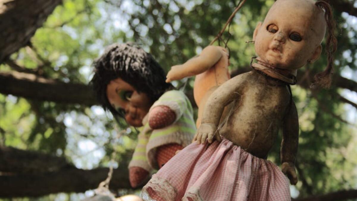 A few miles from the heart of Mexico City lies La Isla de las Muñecas, the Island of Dolls, where thousands of dolls hang from the trees. (Wikipedia)