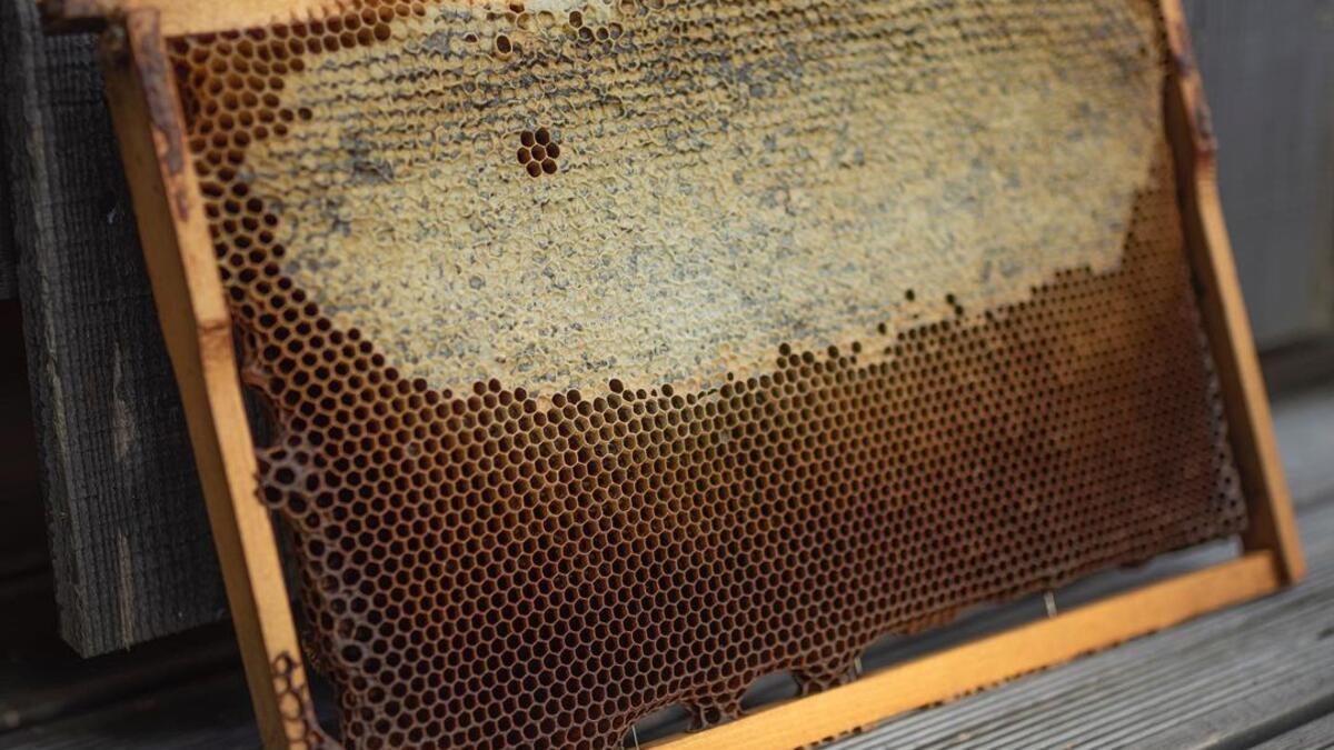 From the “made by bees” series (Instagram)