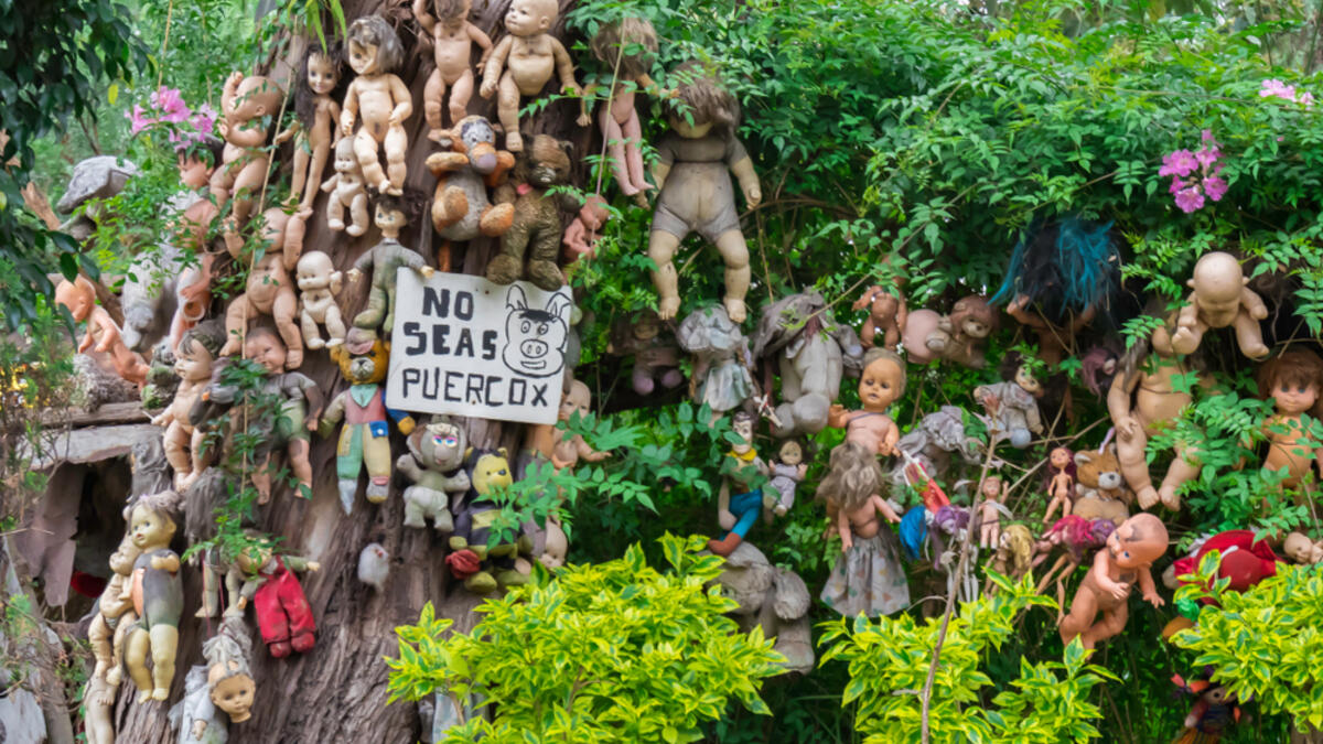 Creepy old dolls in the abandoned Island of the Dolls, Xochimilco, southern Mexico City. (Shutterstock)