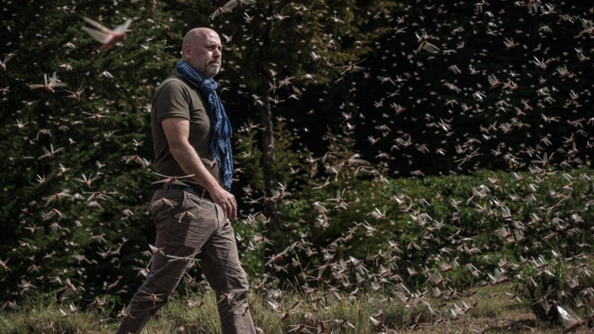 A picuture taken on February 9, 2021,shows Cyril Ferrand, the United Nations Food and Agricultural Organisation (FAO) Resilience Team Leader for eastern Africa, walking in a swarm of desert locust in Meru, Kenya. Yasuyoshi CHIBA / AFP