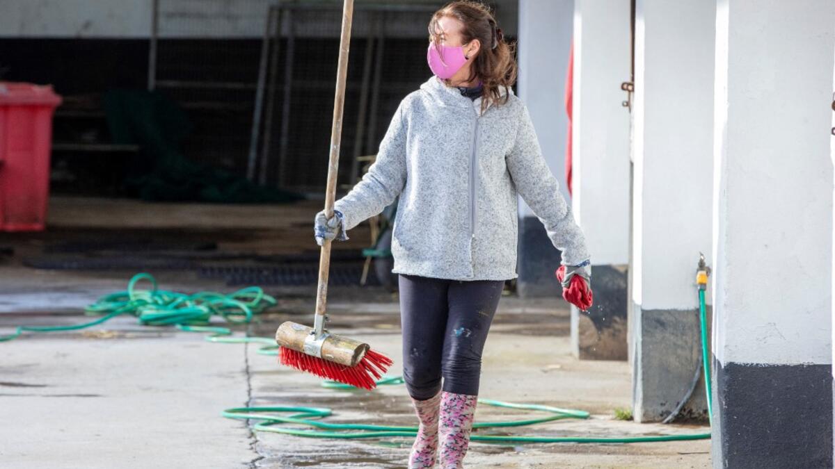 A staff member works at Wildlife Rehabilitation Ireland's new premises situated behind the Tara na Ri Pub, which is shuttered due to the Covid-19 pandemic, at Garlow Cross outside Navan in County Meath, Ireland on February 18, 2021. Since Ireland's first coronavirus lockdown pub the Tara Na Ri has been closed to regulars, but now it hosts a menagerie of new clientèle as the nation's first wildlife hospital. PAUL FAITH / AFP