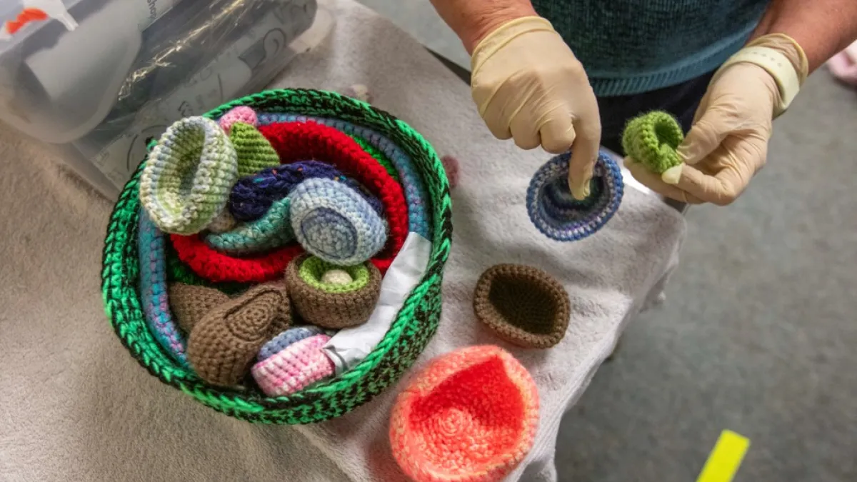 Volunteer at Wildlife Rehabilitation Ireland, Joan Scully sorts through knitted nests for injured birds donated by members of the public, at their new premises situated behind the Tara na Ri Pub, which is shuttered due to the Covid-19 pandemic, at Garlow Cross outside Navan in County Meath, Ireland on February 18, 2021. Since Ireland's first coronavirus lockdown pub the Tara Na Ri has been closed to regulars, but now it hosts a menagerie of new clientèle as the nation's first wildlife hospital. PAUL FAITH /