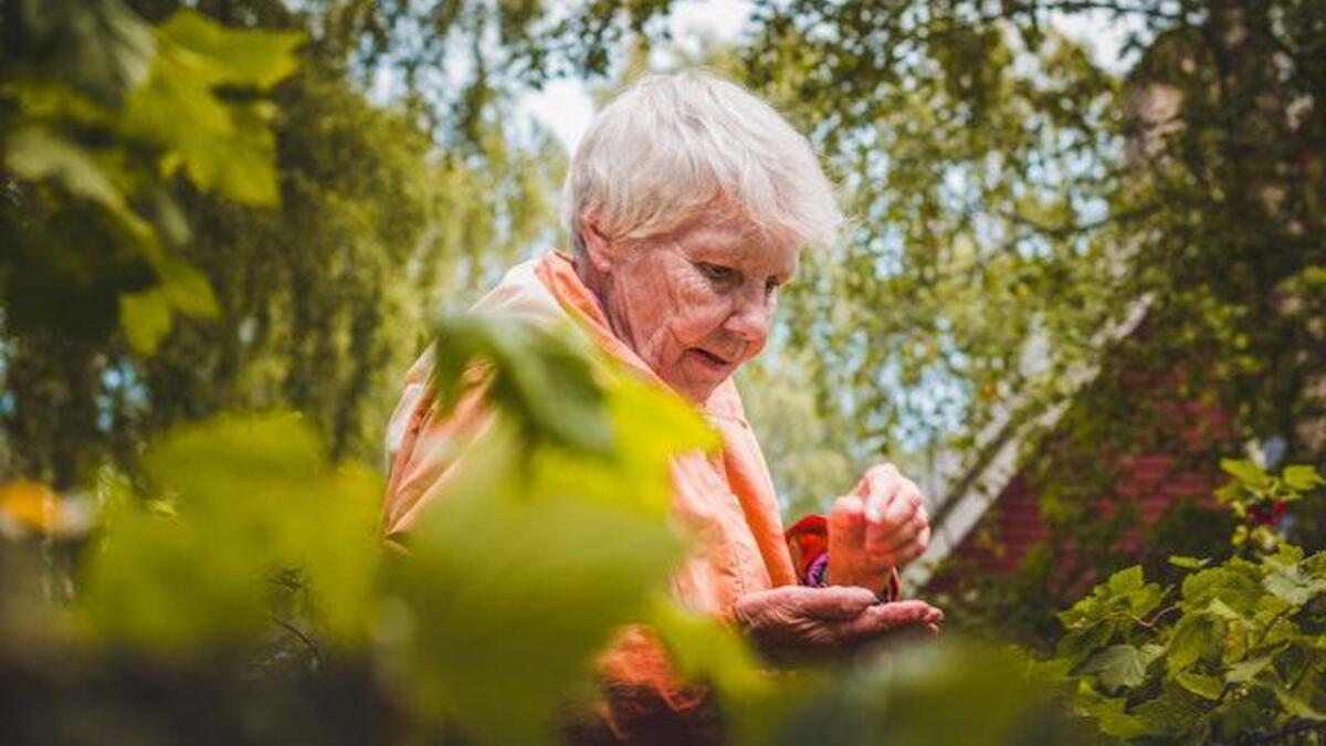 المركز الثاني: لوكسمبورغ - ملاذ للمتقاعدين، بسبب سهولة عوامل الاستقرار المتاحة، وتمتعها بمرافق طبية جيدة جنبًا إلى جنب مع مناخ لطيف يجعلها مكانًا مفضلًا للناس للاستمتاع بأدوارهم الثانية في الحياة بسلام.