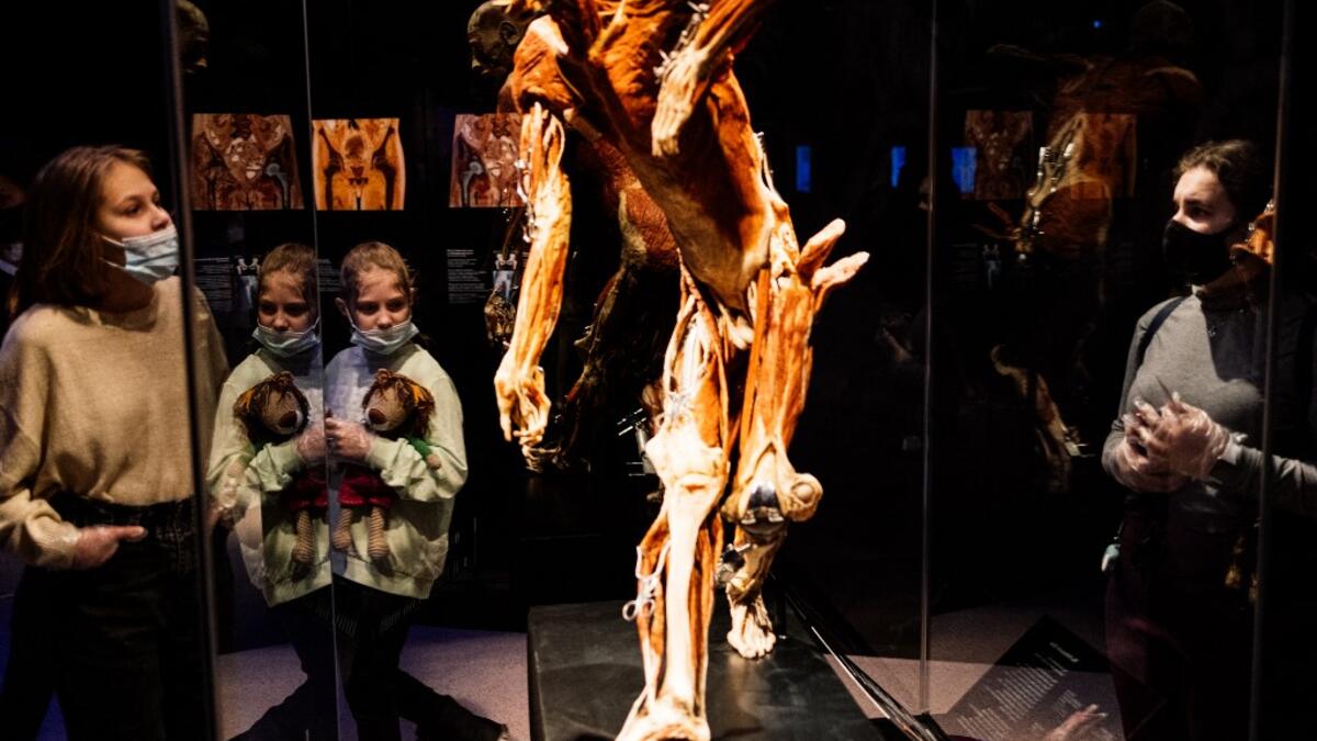 People visit the "Body Worlds", the anatomical art exhibition of plastinated human bodies