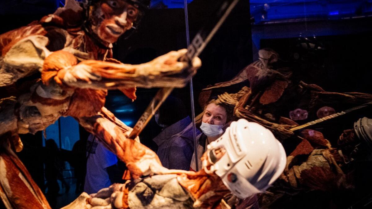 People visit the "Body Worlds", the anatomical art exhibition of plastinated human bodies