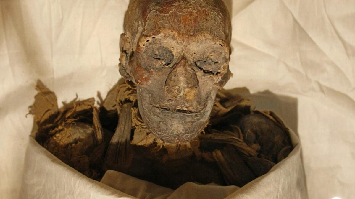 In this file photo taken on June 27, 2007, the mummified remains of Queen Hatshepsut, ancient Egypt's most famous female pharaoh