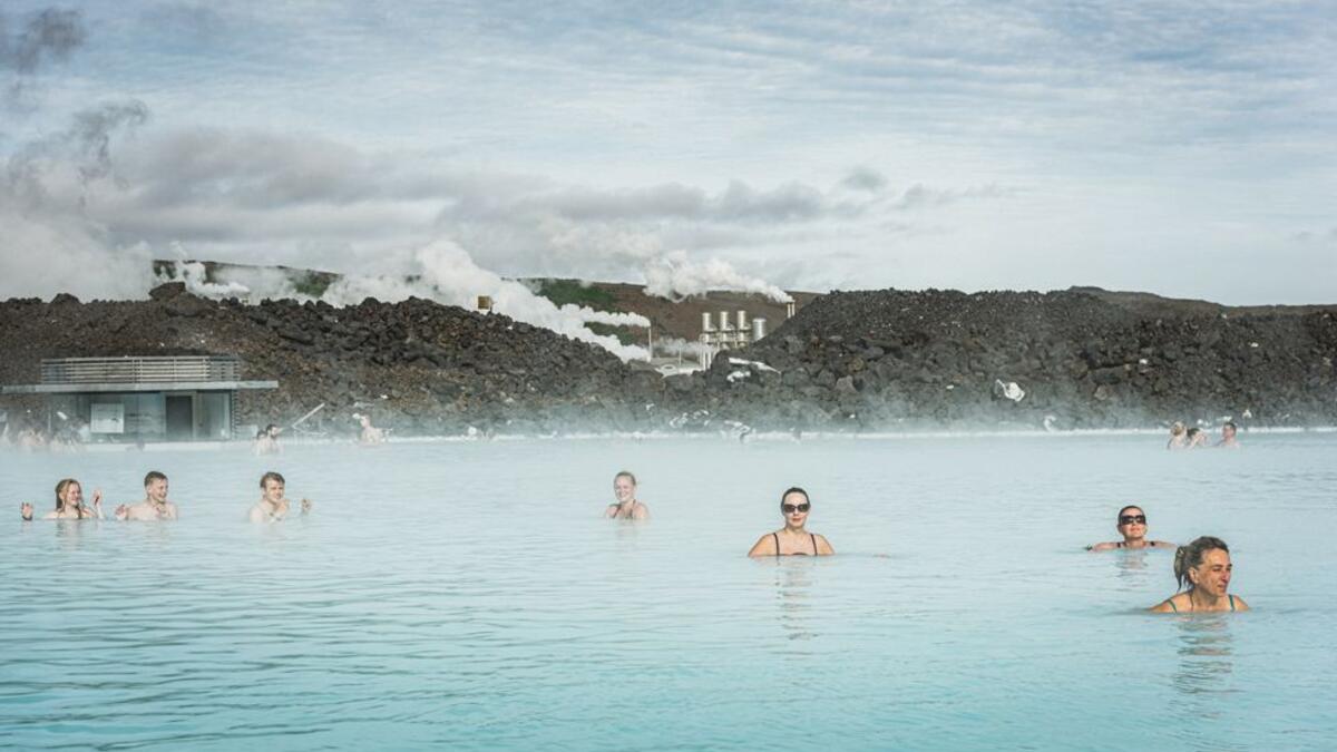 فئة الأفلام الوثائقية: للمصور الإيطالي "فيتو فوسكو" عن سلسلته عن أزهار بيريثروم الكينية التي تستخدم كمبيد حشري طبيعي.