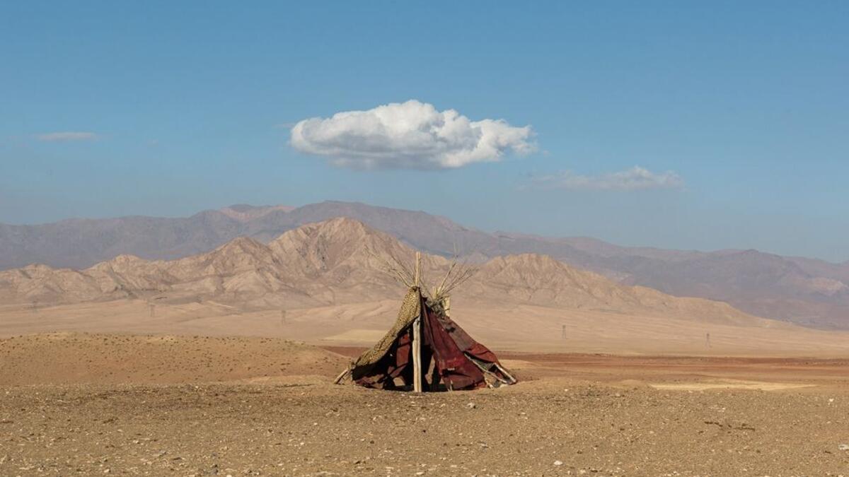 فئة المناظر الطبيعية:  للفنان الإيراني ماجد حجتي عن صورته “الأحياء الصامتة” والتي ينقل فيها رسالة بأن “الحياة زائلة وسنترك خلفنا الأنوار”.