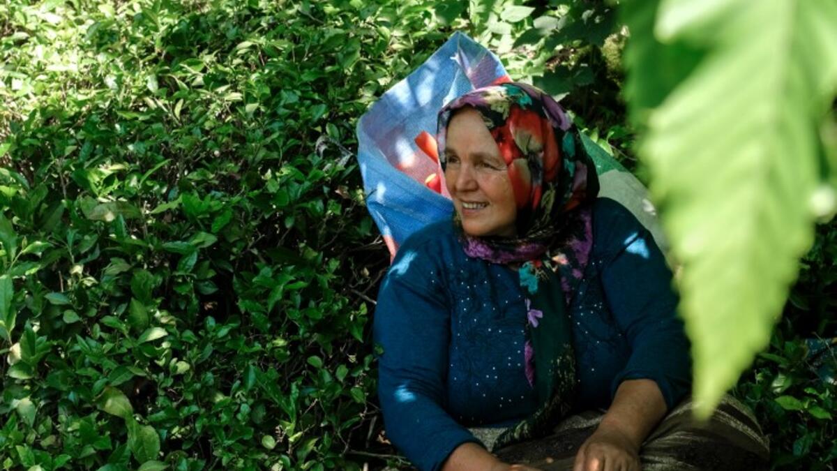 Pervin Bas, takes a break in her 'tea garden' where she picks tea leaves as she speaks to AFP, on June 7, 2021, at Ikizdere in the Rize Province in the Black Sea region of Turkey. A government-friendly company plans to extract 20 million tons of stone from a quarry in the northeastern town of Ikizdere for one of President Recep Tayyip Erdogan