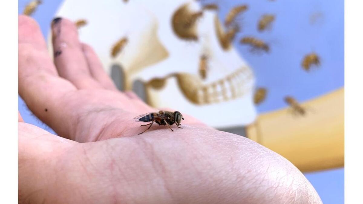 Fikos tries to combine ancient Greek mythology with the Byzantine iconography